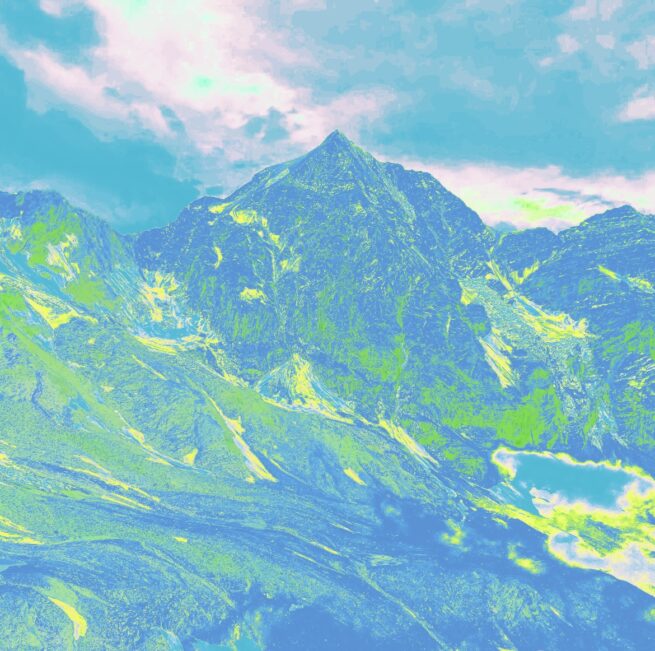 Königspitze mit Brille Nr. 10