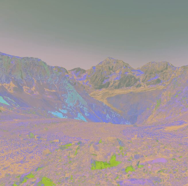 Königspitze mit Brille Nr. 4