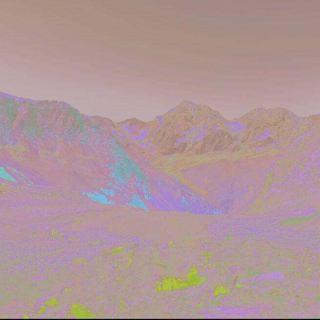 Königspitze mit Brille Nr. 5