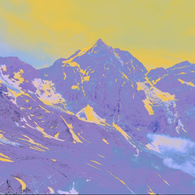 Königspitze mit Brille Nr. 6