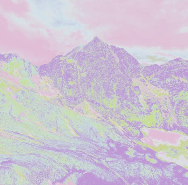 Königspitze mit Brille Nr. 8